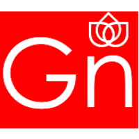 GN systems Co.,Ltd