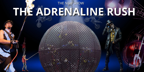 Phuket  Circus Co., Ltd.