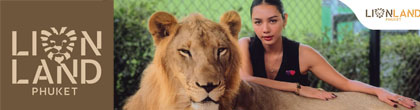 Lion Land Phuket