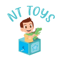 NT TOYS