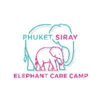 Phuket Siray Elephant Care Camp
