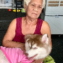 Sompop Pratheep na thalang