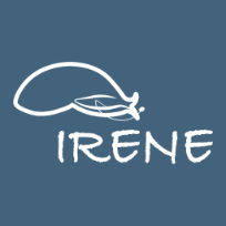 Irene Pool Villa Resort